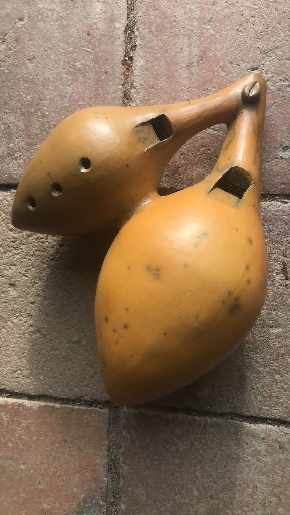 double-flûte