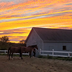 horse barn with sunset