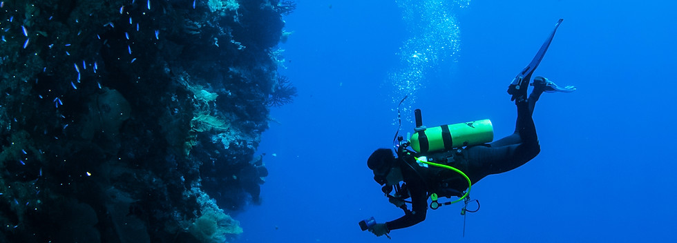 Diving in Coral Reef
