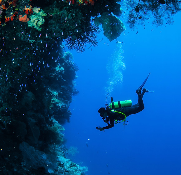 Diving in Coral Reef