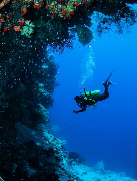 Diving in Coral Reef