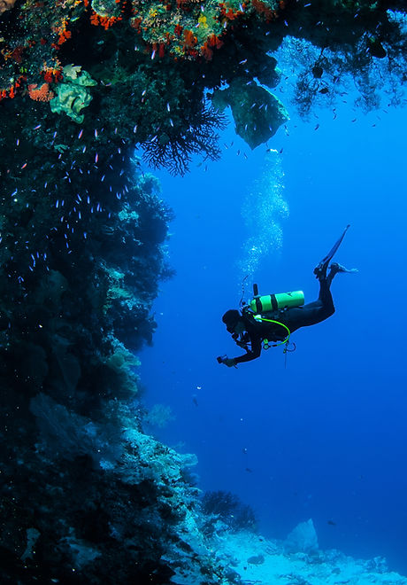 Diving in Coral Reef