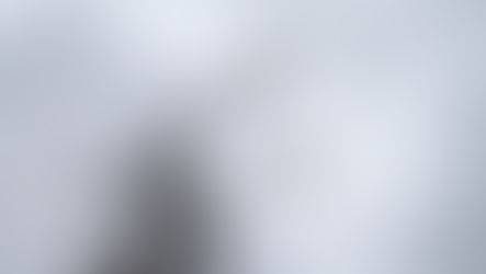 Candidatas a la Presidencia y las coequiperas del poder