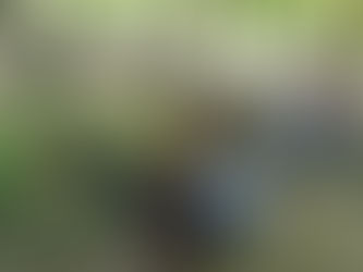 Rucksack im Tiergarten