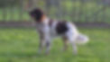 Lynn von der Silberquelle_edited.jpg