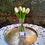 Thumbnail: The Original Collection- Large Tulip Bouquet- Free UK P & P inc
