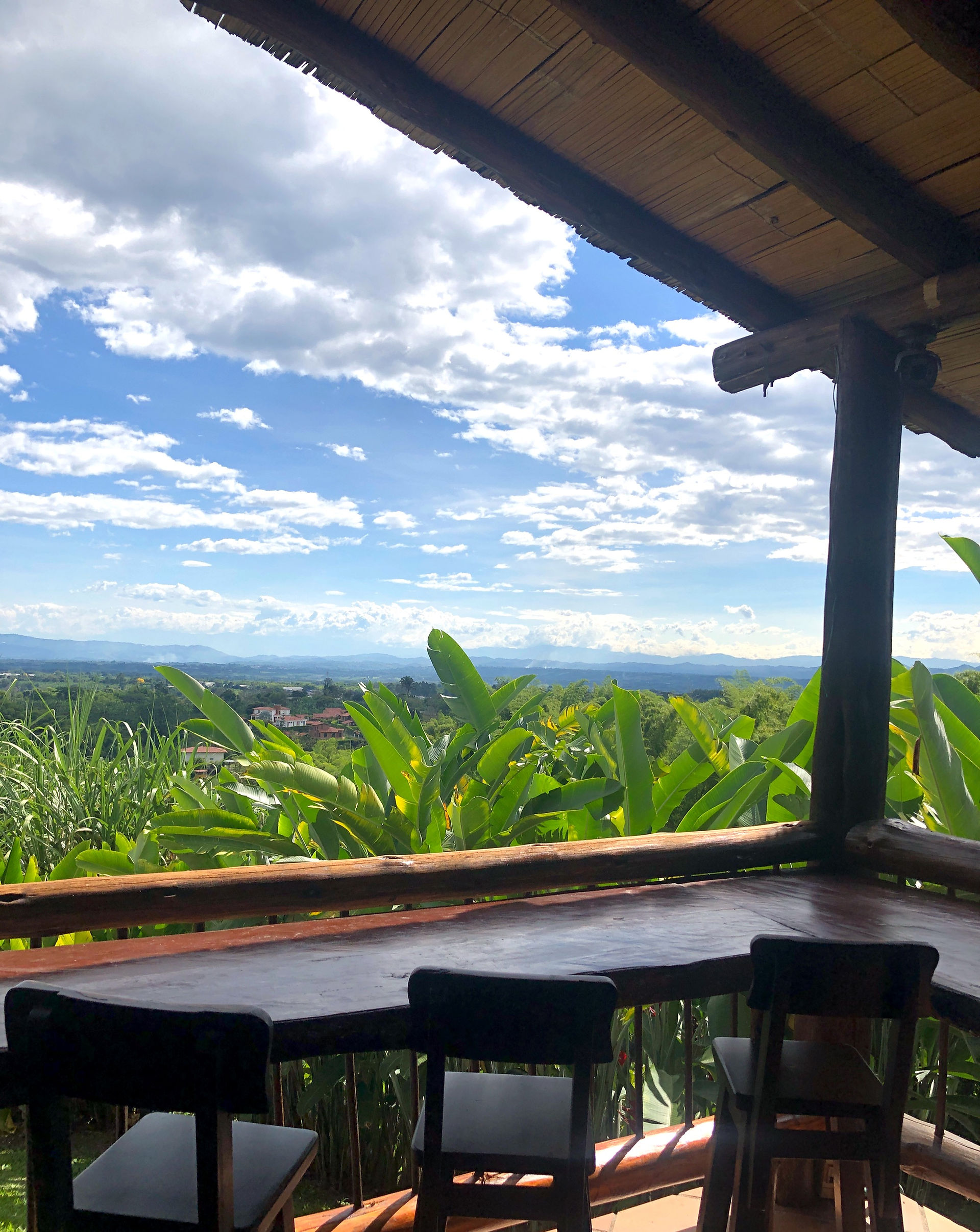 hacienda cafetera