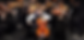 Troy High School Orchestras