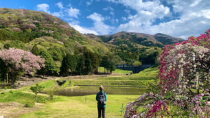 山桜に包まれて茨城県桜川市の高峯で春のハイキング