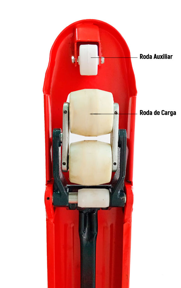 RODA AUXILIAR