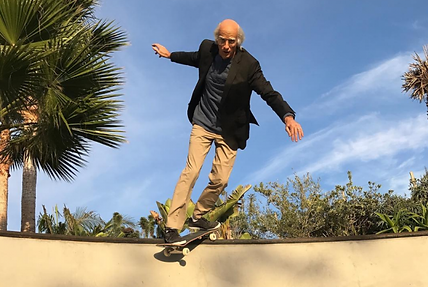 Tony Hawk Larry David Halloween Costume Skateboarding