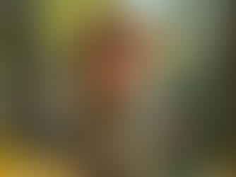 The Whispering Tree Quest