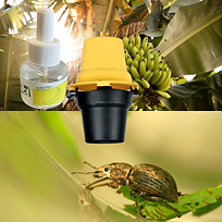 phéromones produits nécessaires (2).png