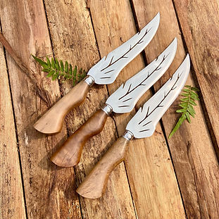 WhatsApp Image 2024-08-30 at 11.35.18.jpeg