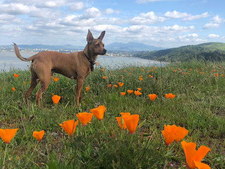 Stop Living in Denial & Turn off the News