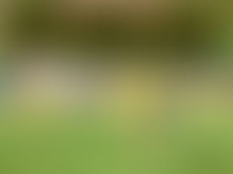 第20回 埼玉県第4種新人戦南部大会《5年生》