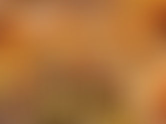 Happy Thanksgiving from ICCA!