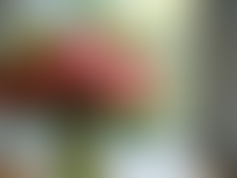 Choosing the Best Online Florists Philippines: Your Guide to Stunning Blooms in Alabang