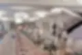 10979771.webp