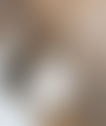 Imagem de uma bolsa casual feminina da Zara em um ambiente moderno.