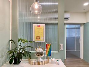 春暖花開❤️若竹新生