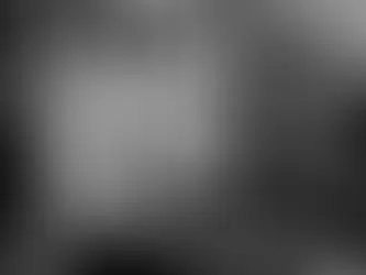 What is Language? On Sense and Nonsense