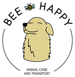 24B8F360-D135-4A1C-8B8C-C63B900392FF.png