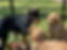 77AC9D24-3114-4E19-80EF-EB7751BE2282_1_201_a.heic