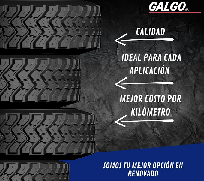galgo.png