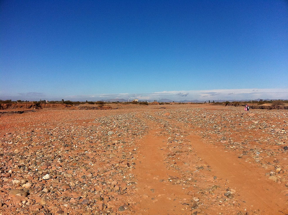 cava Marraketch palmerie