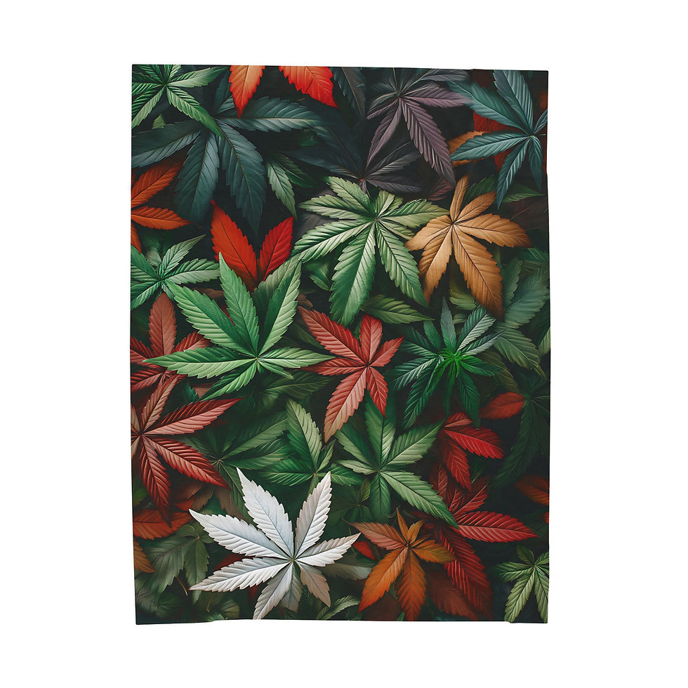 Cozy 60X80 Cannabis Leaf Pattern Velveteen Plush Blanket, Marijuana Plush Throw 