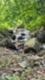 20240703_090821.jpg