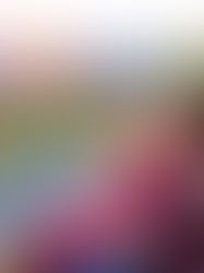 Engagement at The Point in Shenandoah National Park