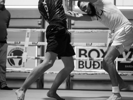 Hvítur á leik haldið í mars