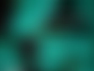 To: Mohamed Salah owner