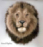 Majestic African Lion Replica Head Wall Mount by Animal Replicas, handcrafted by Ami Zarug