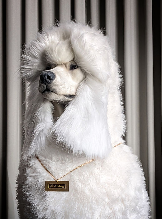 Giant Poodle Price In Malaysia Order Discount factoryeye