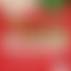 お豆腐屋が本気で作る🎄✨ Xmas SOY FOOD 予約受付中! ✨🎄