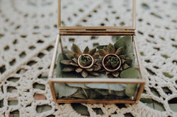 Hochzeit-Gut-Bliestorf