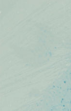 IMG_6708 (1).jpeg