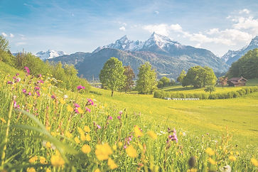 payasge montagne