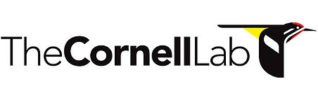 cornell-lab-of-ornithology-logos.jpeg