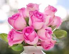 Pink Roses.JPG