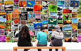 Gallery - Pixabay free.jpg