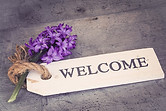 Welcome - Pixabay free.jpg