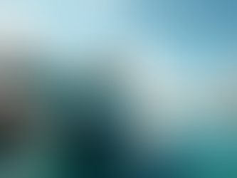 US Yacht Market: Key Insights into Yacht Sales and Trends