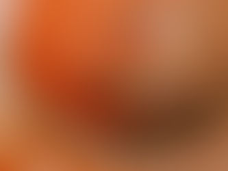 Top SEO Tools for Small Businesses: Why Rabbit SEO Stands Out