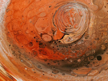 Top SEO Tools for Small Businesses: Why Rabbit SEO Stands Out