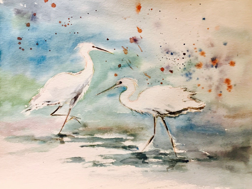Aigrettes 2 aquarelle