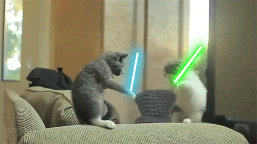 giphy_gif (500×281).gif